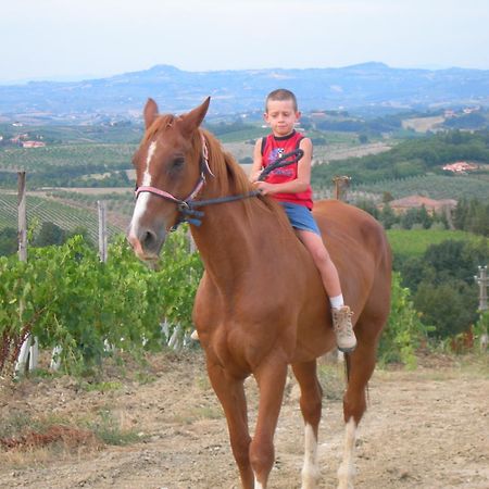 Agriturismo Podere La Marronaia San Gimignano Exteriér fotografie