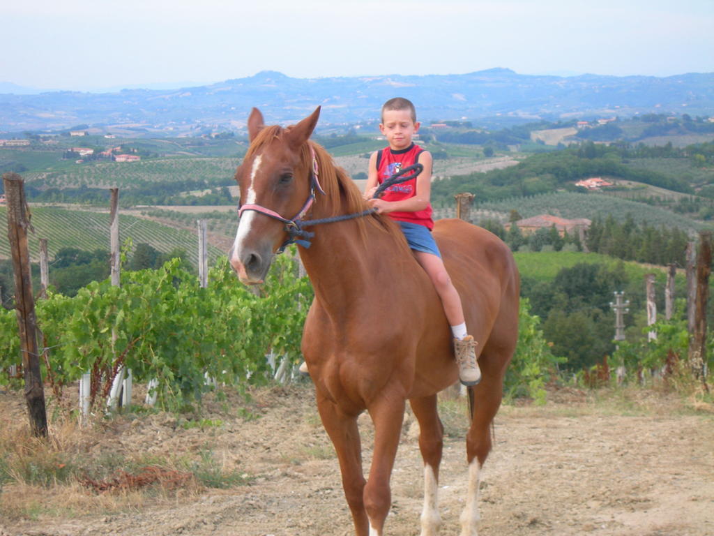 Agriturismo Podere La Marronaia San Gimignano Exteriér fotografie