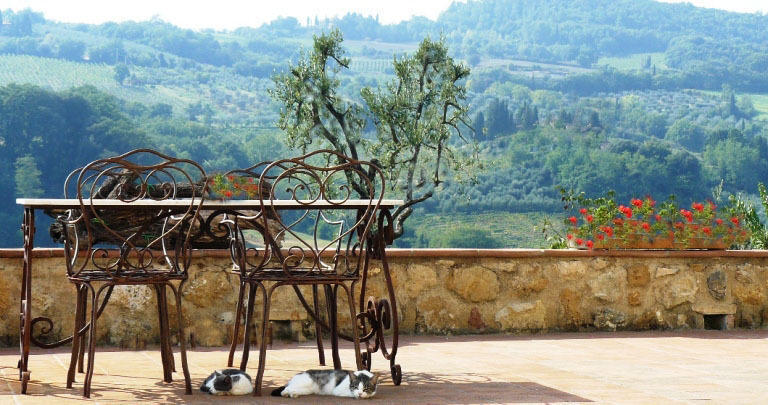 Agriturismo Podere La Marronaia San Gimignano Exteriér fotografie