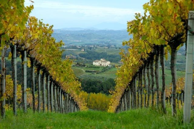 Agriturismo Podere La Marronaia San Gimignano Exteriér fotografie